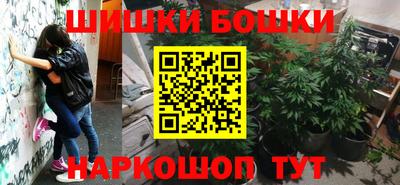шишки Братск