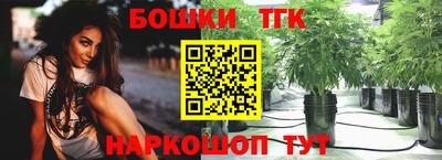 шишки Братск