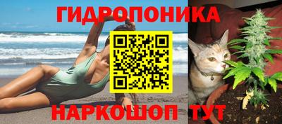 шишки Братск