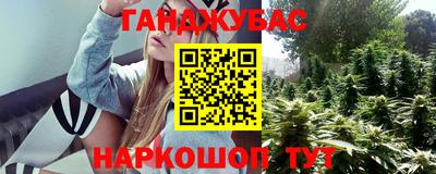 шишки Братск