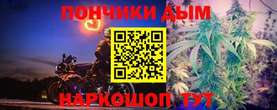 шишки Братск