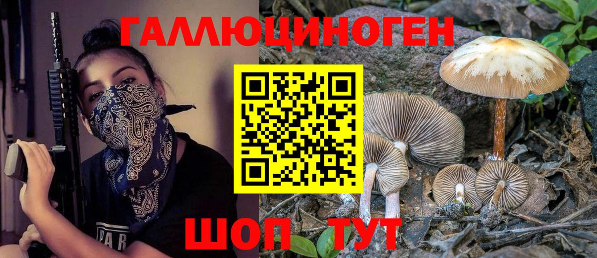 Галлюциногенные грибы GOLDEN TEACHER Борисоглебск